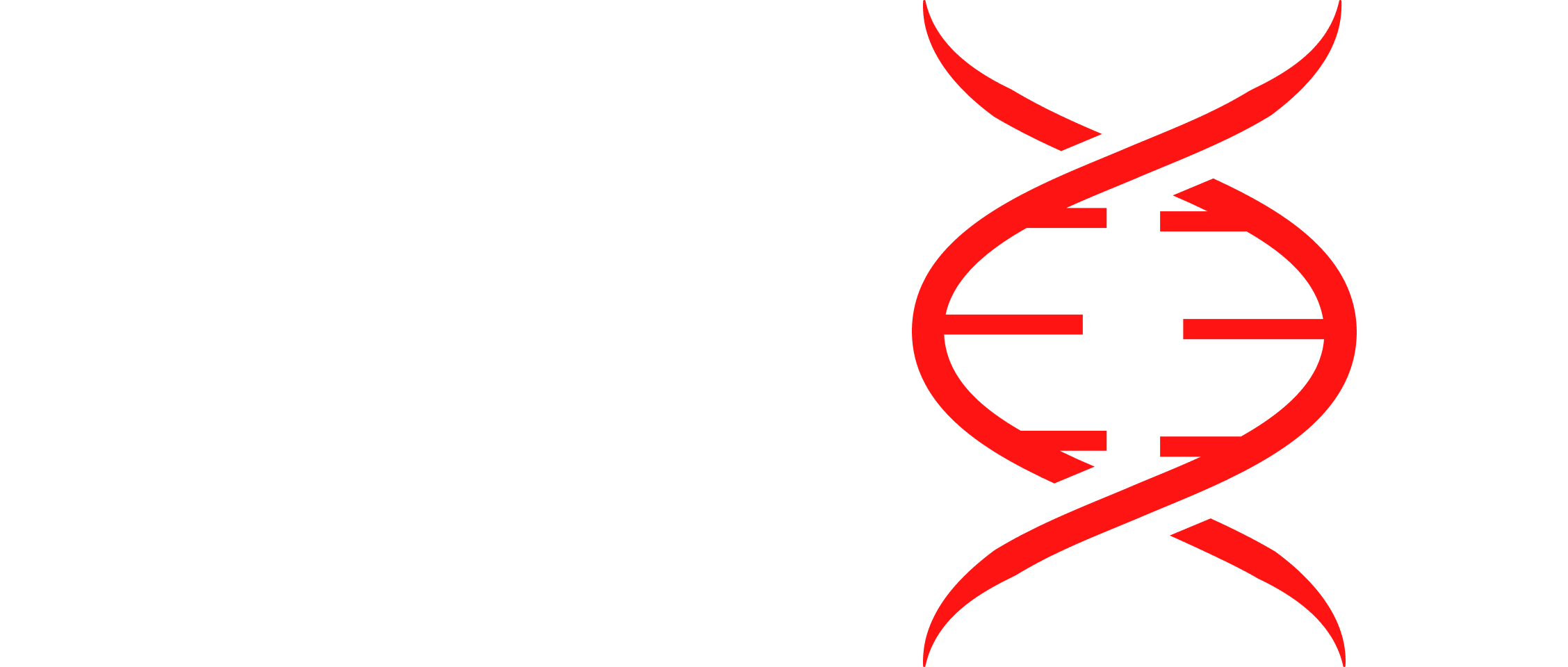 igSCREEN logo